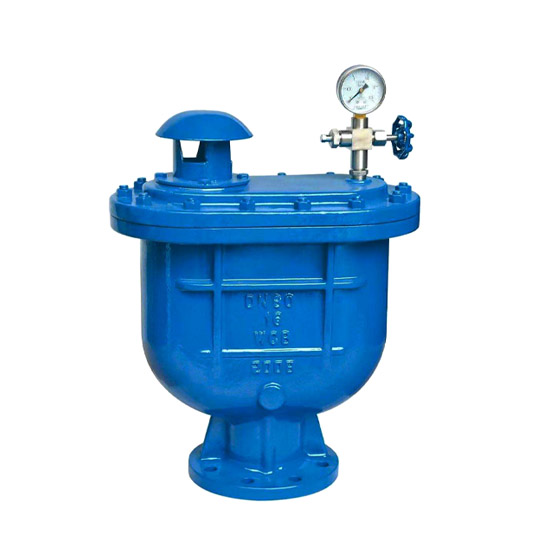 CARX Composite Air Release Valve